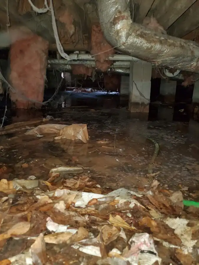 Crawl space flood assessment for Leak Detection & Repair in Willoughby