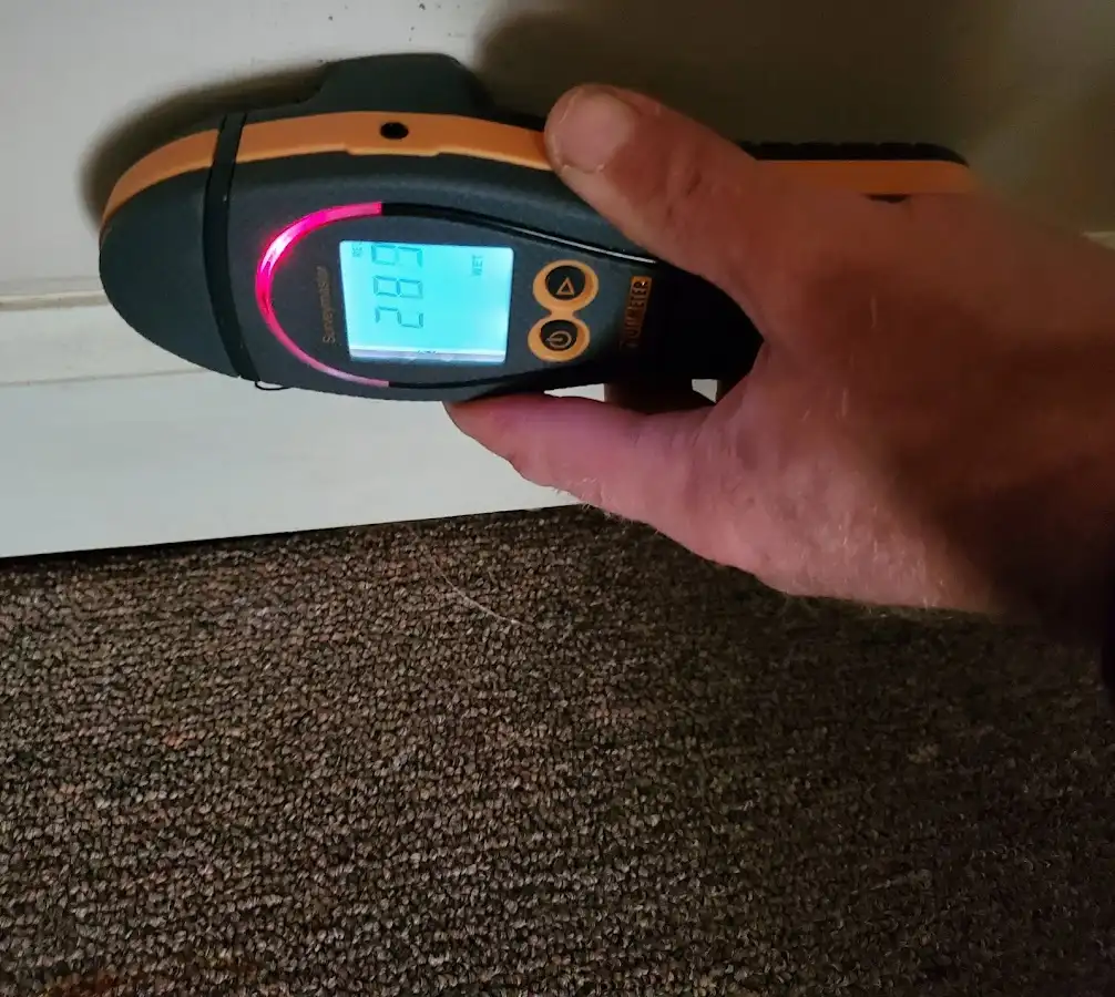 Moisture detection at baseboard during Sewage Cleanup & Sanitation in Willoughby